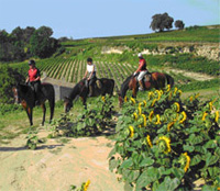 Randonnée à cheval en médoc