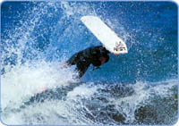 HCL Bodyboard House