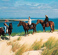Camping truc vert Cap Ferret