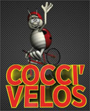 Cocci' Vlos