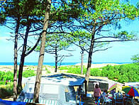 Camping Grands Pins Lacanau