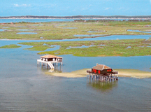 Bassin d'Arachon